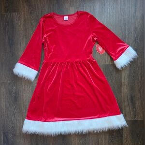 Holiday Time Mrs. Claus faux fur dress